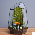 Vases en verre Verre Terrarium clair Géométrique